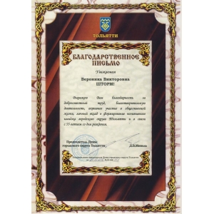 изображение: Благодарственное письмо Думы городского округа Тольятти